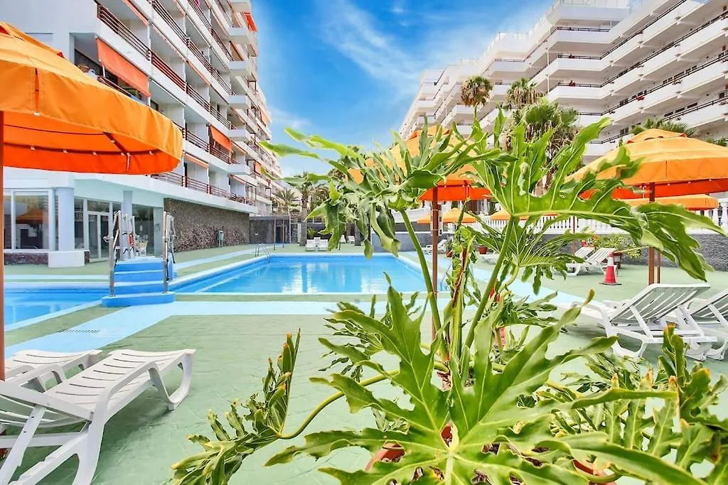 Alexander Apartment Playa De Las Americas פלאייה דה לאס אמריקס